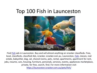 Top 100 Fish in Launceston