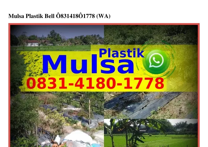 mulsa plastik bell 831418 1778 wa