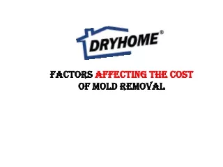Factors affecting the cost of mold removal