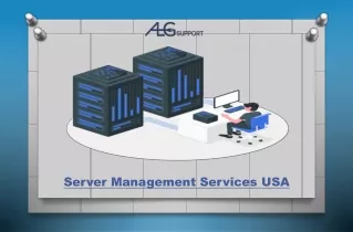 Server Management Services USA