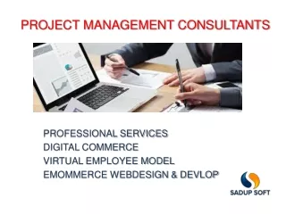 Project Management Consultants