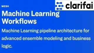 Machine Learning Workflows