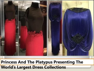 Princess And The Platypus Presenting The World’s Largest Dress Collections