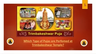 Trimbakeshwar Temple Puja