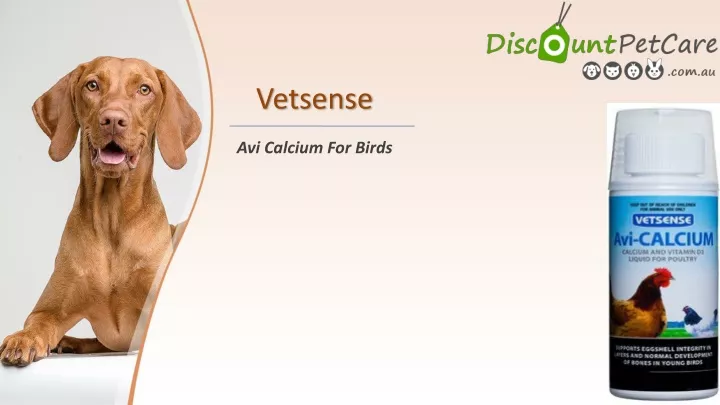 vetsense