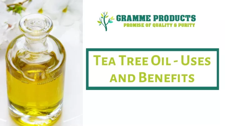 tea tree oil uses and benefits