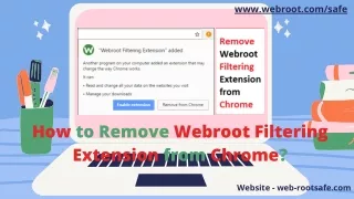 www webroot com safe