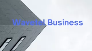 Wavetel Business (3)