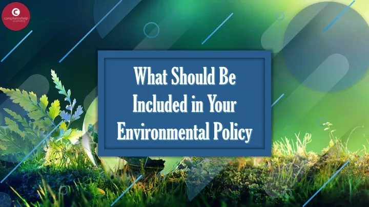 what should be included in your environmental