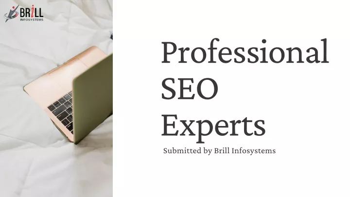 professional seo experts submitted by brill