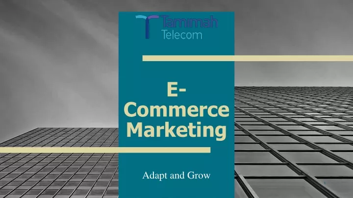 e commerce marketing