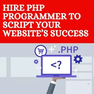 hire php programmer to script your website