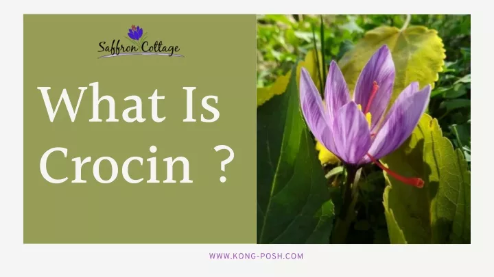 what is crocin