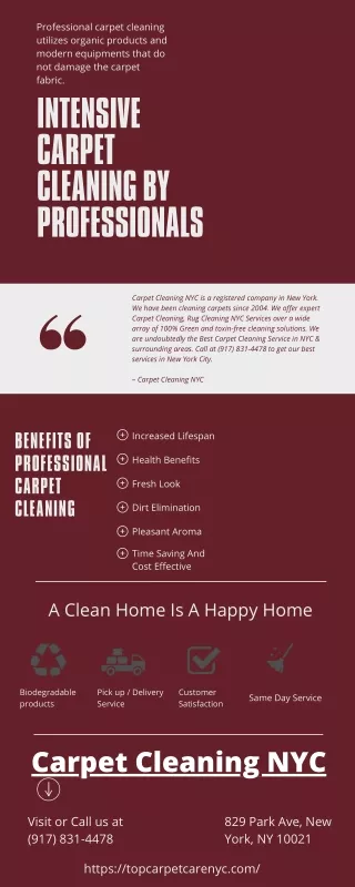 Intensive Carpet Cleaning By Professionals