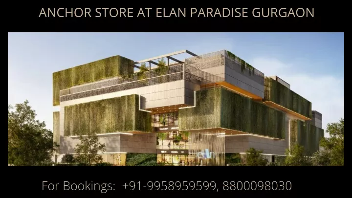 anchor store at elan paradise gurgaon