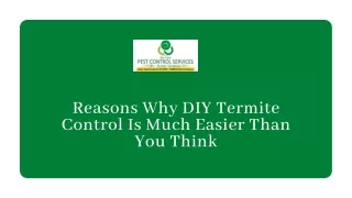 Reasons Why DIY Termite Control Is Much Easier Than You Think