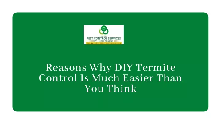 reasons why diy termite control is much easier