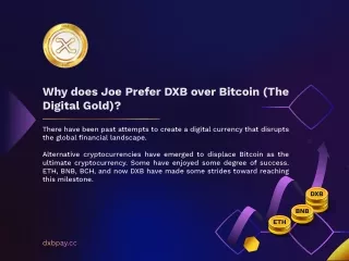 Why does Joe prefer DXB over Bitcoin (the digital gold)