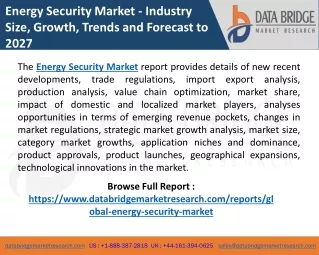 energy security market industry size growth