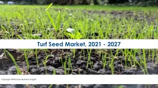 Turf Seed Market Strategic Growth Assessment 2021