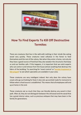 How To Find Experts To Kill Off Destructive Termites