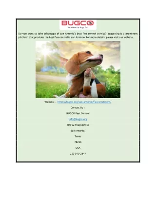 flea control services San Antonio