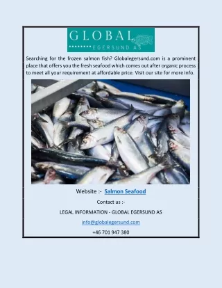 Salmon Seafood | Globalegersund.com