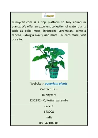 Aquarium Plants  Bunnycart.com