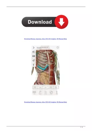 Download Human Anatomy Atlas 2021:В Complete 3D Human Body
