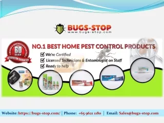 Cockroach_Pest_Control_Products_Singapore_By_Bugs-Stop