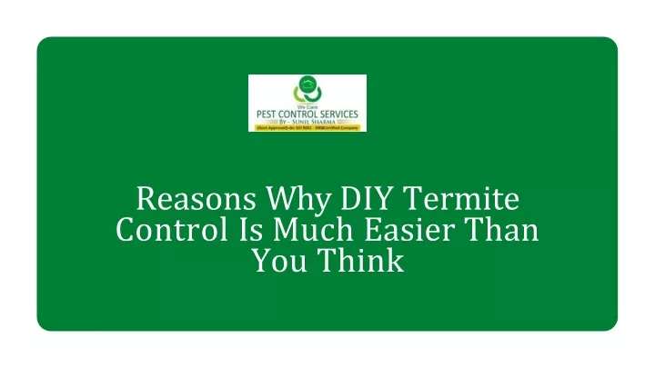 reasons why diy termite control is much easier than you think
