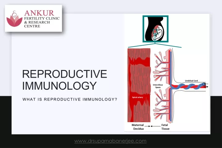 reproductive immunology