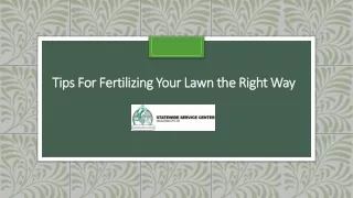 tips for fertilizing your lawn the right way