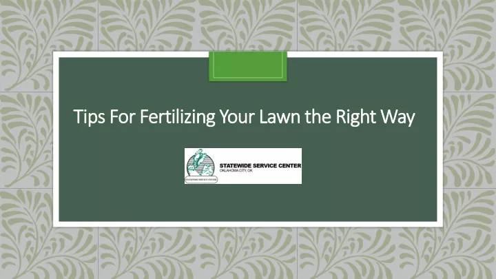 tips for fertilizing your lawn the right way