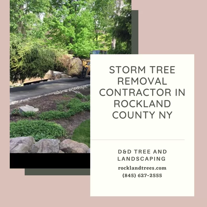 storm tree removal contractor in rockland county