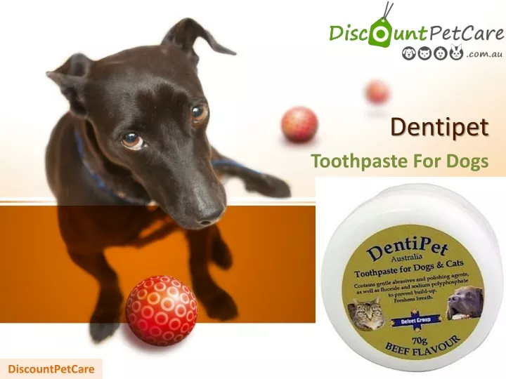 dentipet toothpaste for dogs