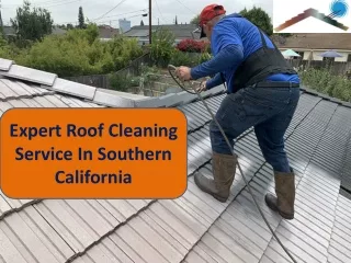 Expert Roof Cleaning Service In Southern California