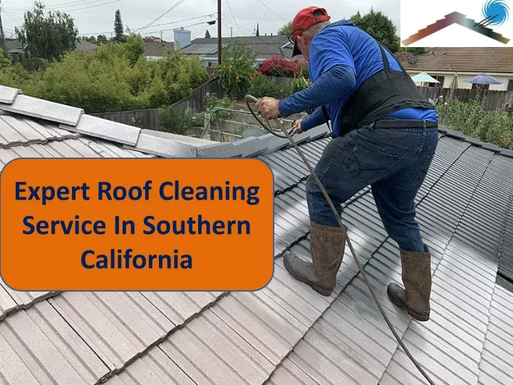 expert roof cleaning service in southern