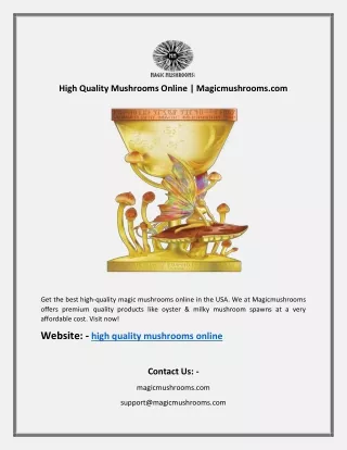 high quality mushrooms online magicmushrooms com