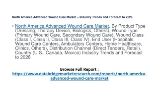 North America Advanced Wound Care Market