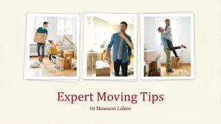 Expert Moving Tricks In Mawson Lakes
