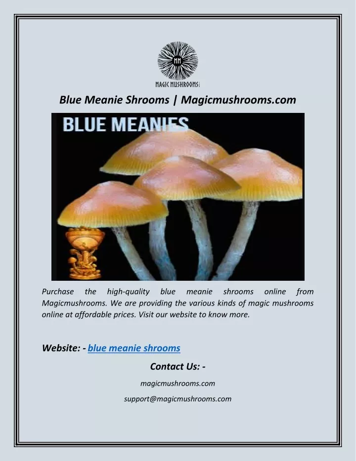 blue meanie shrooms magicmushrooms com