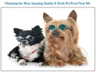 Obtaining the Most Amazing Quality & Fresh Pet Food Near Me