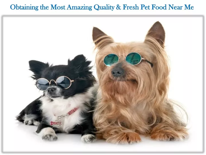 obtaining the most amazing quality fresh pet food near me