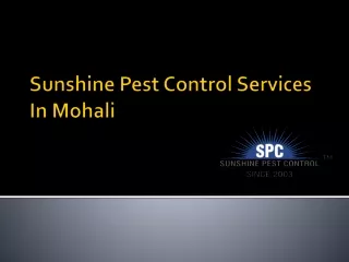 sunshine pest control services in mohali