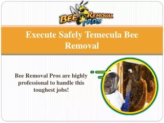Execute Safely Temecula Bee Removal