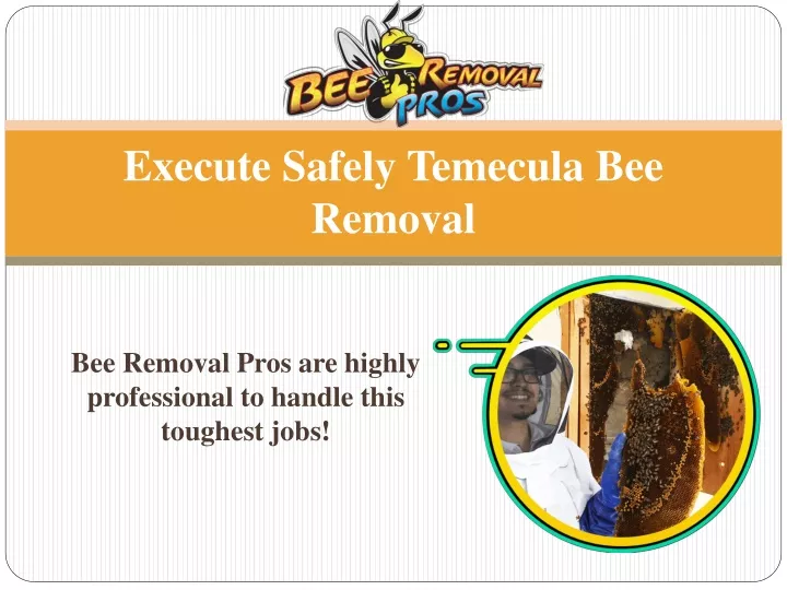 execute safely temecula bee removal