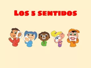 los 5 sentidos