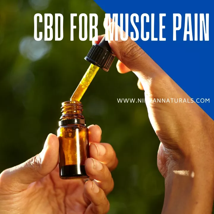 cbd for muscle pain