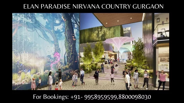 elan paradise nirvana country gurgaon